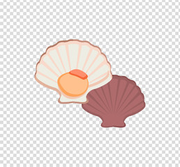 Oysters Vector Illustration