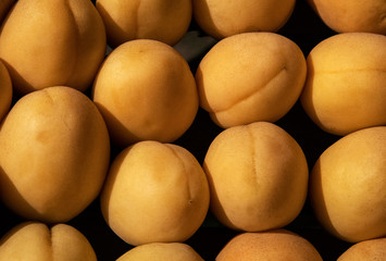 Yellow,juicy apricots as background