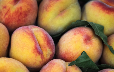 Juicy peaches as background