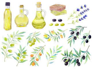 Watercolor set of floral elements. 