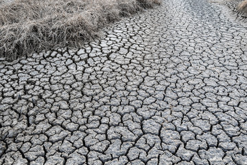 Cracked dry land without water