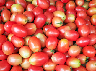 Fototapeta na wymiar Harvest sweet tomatoes at the local farmers market