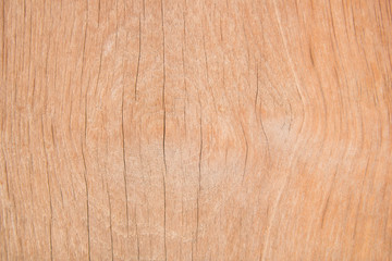 Wood texture with natural pattern