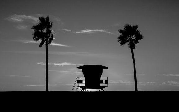 Lifeguard Tower in black and white - The Lifeguard Tower and Palm Tree on the Beach in monochrome - Powered by Adobe