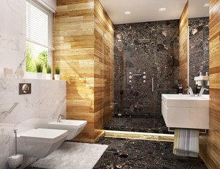Modern bathroom with black marble