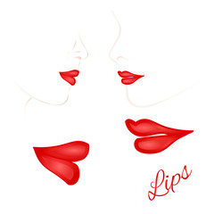 Females red lips with the contour face second set vector illustration