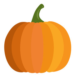 Pumpkin in flat design style isolated on white
