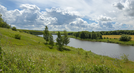 Summer landscape