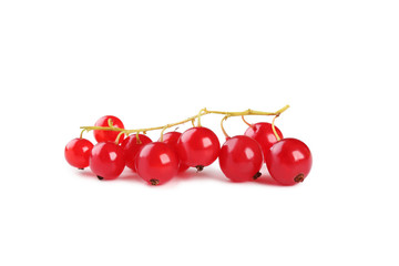 Red currants isolated on a white