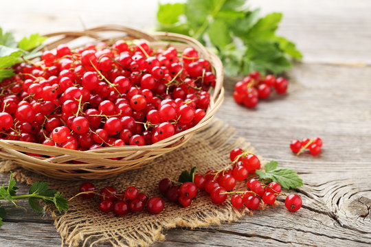 Red currant on a grey wooden table