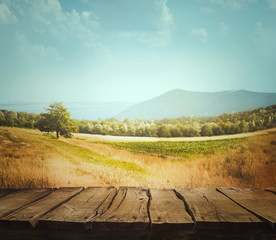 Nature background with wood  planks