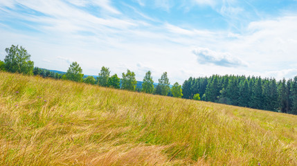 Obraz premium Hills of the Eifel National Park in summer