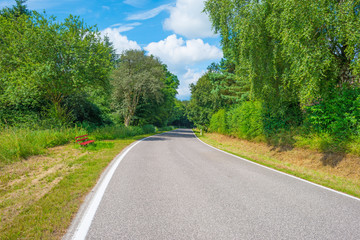 Road through a hilly landscape in summer