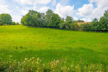 Hills of the Eifel National Park in summer