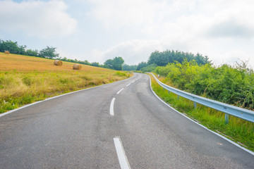 Road through a hilly landscape in summer