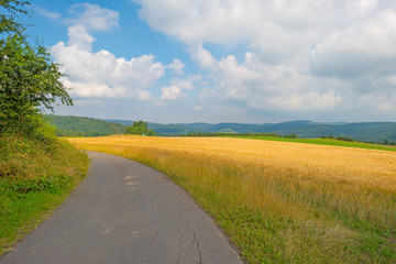 Hills of the Eifel National Park in summer