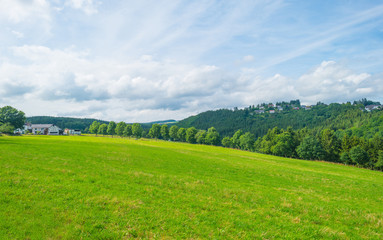 Obraz premium Hills of the Eifel National Park in summer