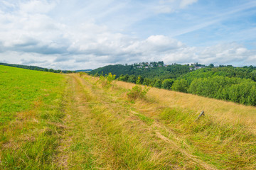 Hills of the Eifel National Park in summer
