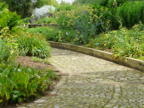chemin du parc