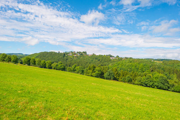 Fototapeta na wymiar Hills of the Eifel National Park in summer