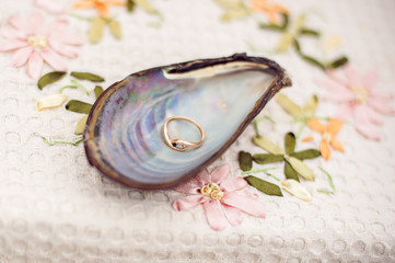 Shell with engagement ring inside