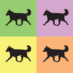 Four dogs running huskies on colorful background.
