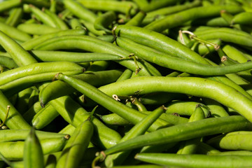 Macro of Bunch of Fresh Green Beans at Local Food Market