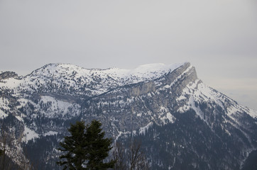 Fototapeta na wymiar Plateau de la Dent de Crolles (Isère)