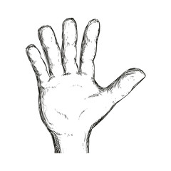Human hand concept represented by gesture with fingers  icon. Isolated and sketch illustration
