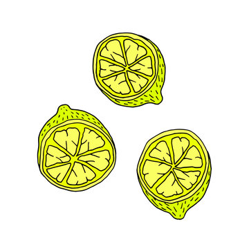 Cartoon yellow lemon fruit with contour