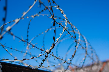 barbed wire on the background of blue sky. Russia Saint Petersburg