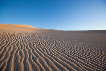 Fototapeta na wymiar Sand Ripples on a Dune Field