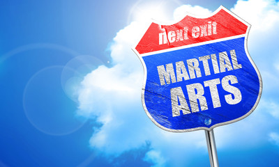 martial arts, 3D rendering, blue street sign