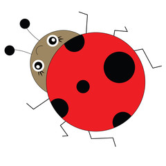 Ladybug in cartoon style. Vector illustration