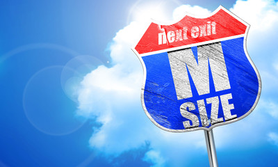 m size, 3D rendering, blue street sign