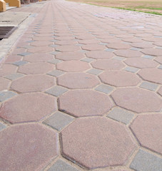 Pathway / Empty pathway paved with stone block.