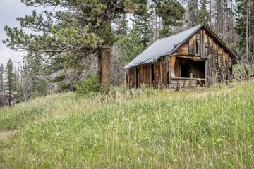 ruins of cabin in Rocky Mountains