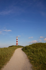 Fototapeta na wymiar Leuchtturm Ameland mit Dünen