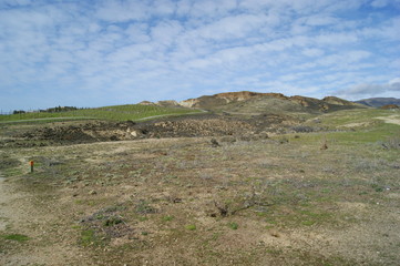 Obraz premium cromwell