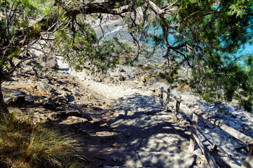 Road through trees to beach of Aghios Povlos town on Crete island, Greece