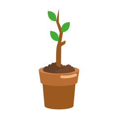 flat design tree sprout icon vector illustration