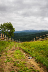 Fototapeta na wymiar Dirt road in Carpathian mountains. Chornogora ridge, Ukraine, Europe.
