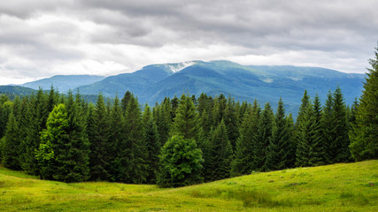Fototapeta na wymiar Cloudy summer Carpathian mountains landscape. Chornogora ridge, Ukraine, Europe.