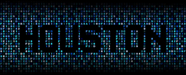 Houston text on hex code illustration