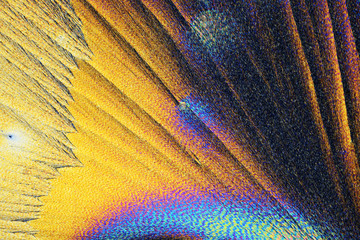 Colorful micro crystals in polarized light