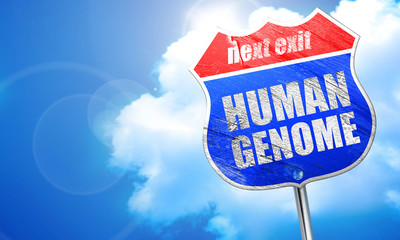 human genome, 3D rendering, blue street sign