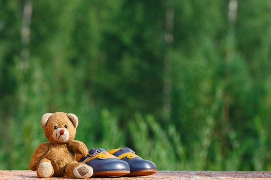 baby shoes with teddy bear