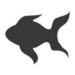 flat design single goldfish icon vector illustration