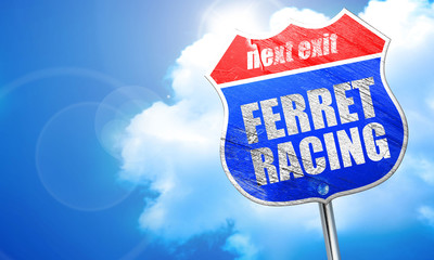 ferret racing, 3D rendering, blue street sign