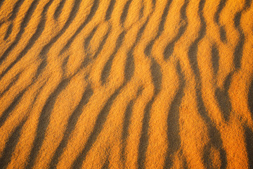 Desert sand background. Gold desert into the sunset